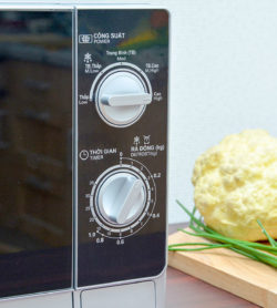 Lò vi sóng cơ 20L R-205VN-S 11